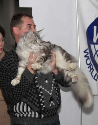 �������� ����� '������� ���-�����' 30 ������-1 ������� 2013., ������������ ��� 2486